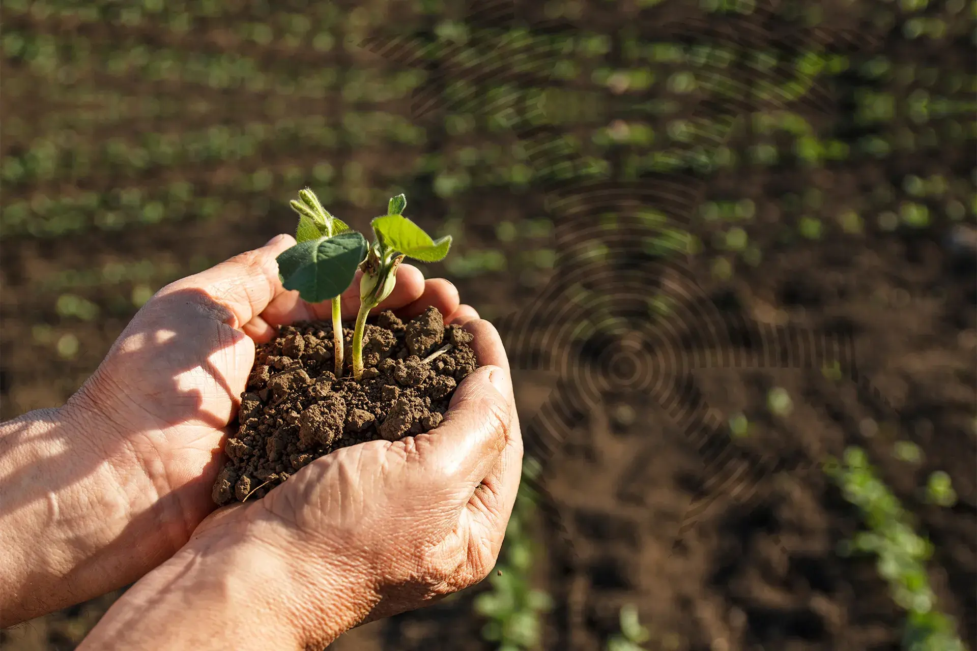 Achtergrond afbeelding