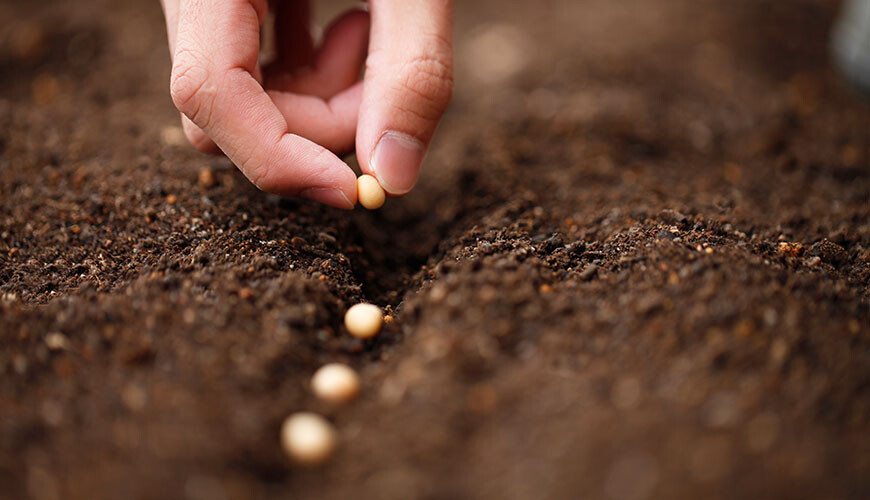 Alles over aarde 1 bac online