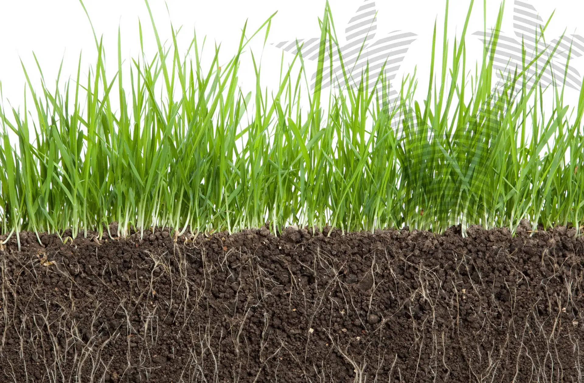 Header Minerale producten 3